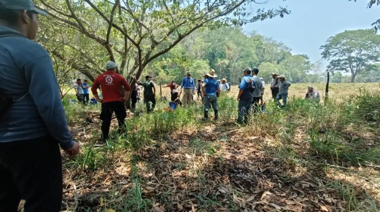 Incendio arrasa 30 hectáreas del Cerro Poaná, incluyendo las reforestadas por Sembrando Vida: PC