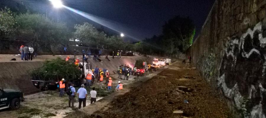 Alcaldesa de León se disculpa tras tala de 63 árboles para ampliar avenida