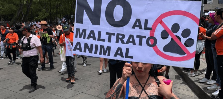 Marchan miles contra el maltrato animal en CDMX