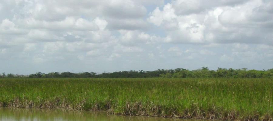 En breve decretarán ANP reserva de la biosfera Wanha´ en Tabasco como parte del Tren Maya