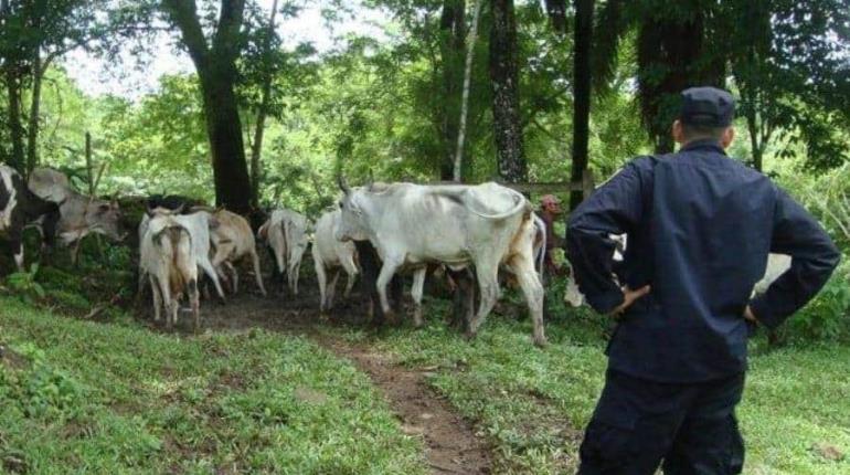 Robo de ganado se dispara 50% en diciembre en Tabasco: Oliver Falcón