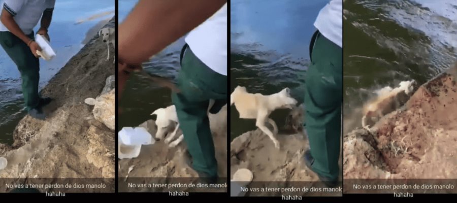 Estudiantes de Cárdenas simulan dar de comer a canino y la patean a cuerpo de agua