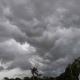 Lluvias continuarán este domingo en Tabasco, estima Conagua hasta 50 mm