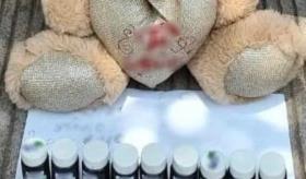 Decomisan peluche relleno de frascos de droga en Sinaloa