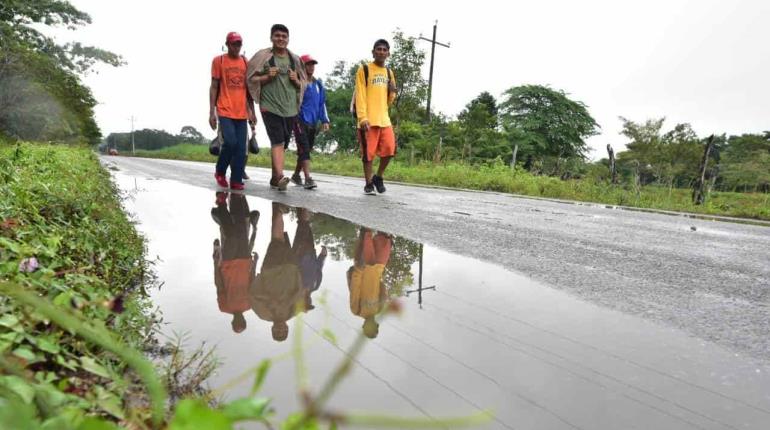 Interpol y UNODC lanzan proyecto para combatir el tráfico ilegal de migrantes