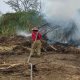 Podará Centro árboles ante próxima temporada de lluvias