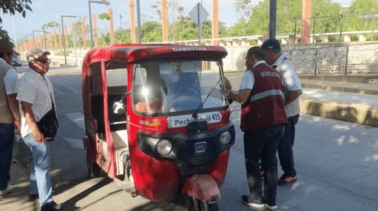 "Pochimóviles irregulares se reproducen como el pez diablo"