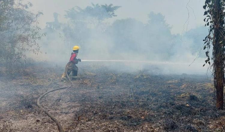 Superada temporada de incendios, pero se siguen presentando siniestros menores: PC