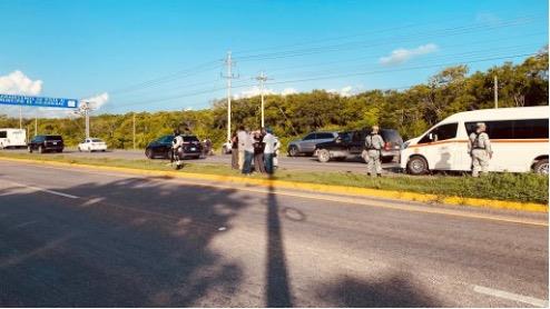 Profepa denuncia ante FGR atropellamiento de jaguar en Quintana Roo