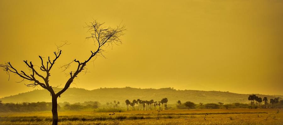 Junio de 2023 fue el mes más caluroso en la historia de la Tierra