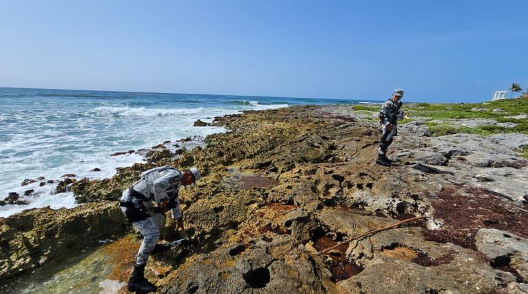 Encuentran cocaína entre sargazo en playa de QR