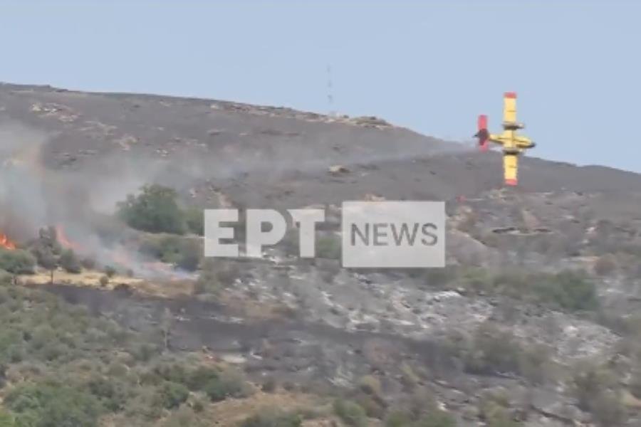 Se estrella avión cisterna que combatía incendio en Grecia