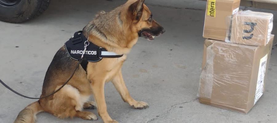 Intercepta Guardia Nacional envío de aparente cristal en Hermosillo, Sonora