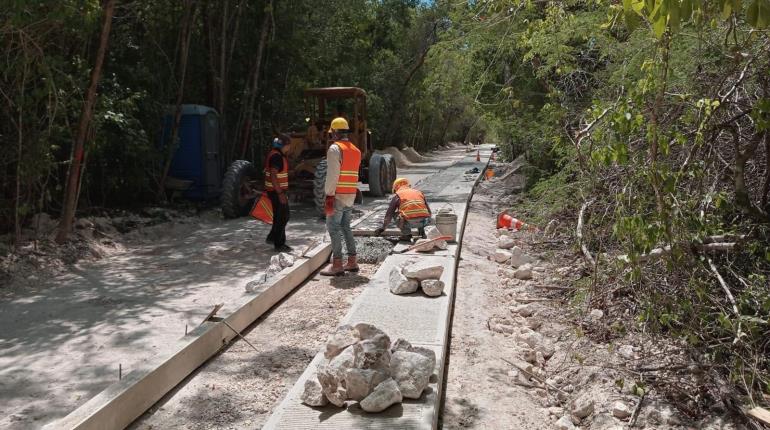 México comete un ecocidio y un etnocidio con Tren Maya, determina informe de ONG internacional