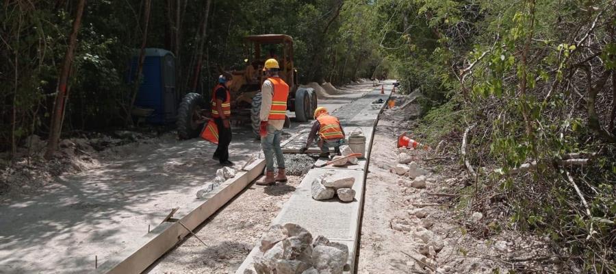 México comete un ecocidio y un etnocidio con Tren Maya, determina informe de ONG internacional