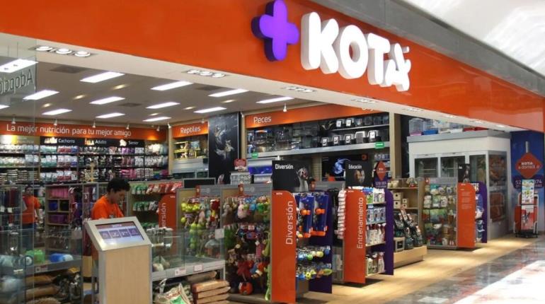 Declaran en quiebra a la tienda +Kota