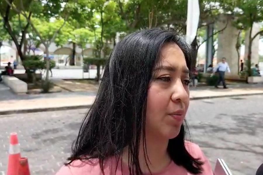 Si INE intervendrá en vida interna de Morena, que lo haga también con oposición: Diputada