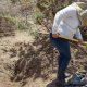 Emite Cofepris alerta sanitaria por falsificación de Aspirina Protect