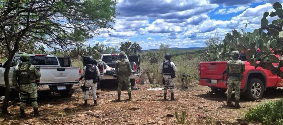 Asegura Guardia Nacional 4 mil cartuchos útiles y 5 camionetas en Zacatecas