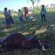 Intoxicados y muerte de ganado deja fuga de gas en Comalcalco