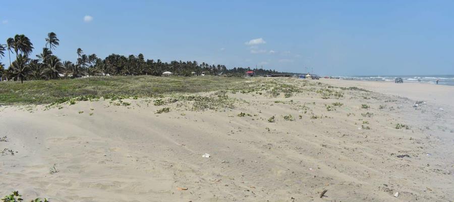 ¡Regresa marea roja a Centla! Recomiendan no acudir a Pico de Oro, Miramar y Playa Azul 