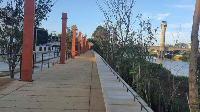 Serpientes sorprenden a ciudadanos en el malecón de Gaviotas