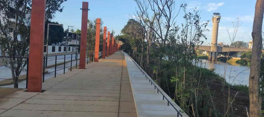 Serpientes sorprenden a ciudadanos en el malecón de Gaviotas