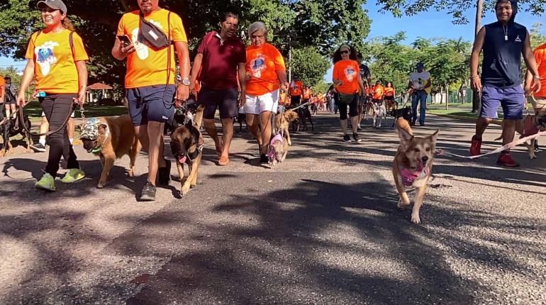 ¡Cumplen meta! Con gran participación perruna realizan cuarta ´Caninata´ contra maltrato animal