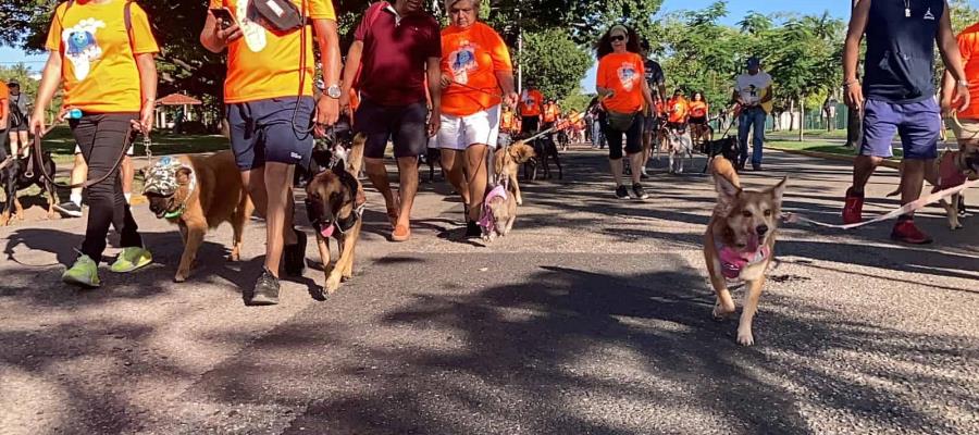 ¡Cumplen meta! Con gran participación perruna realizan cuarta ´Caninata´ contra maltrato animal