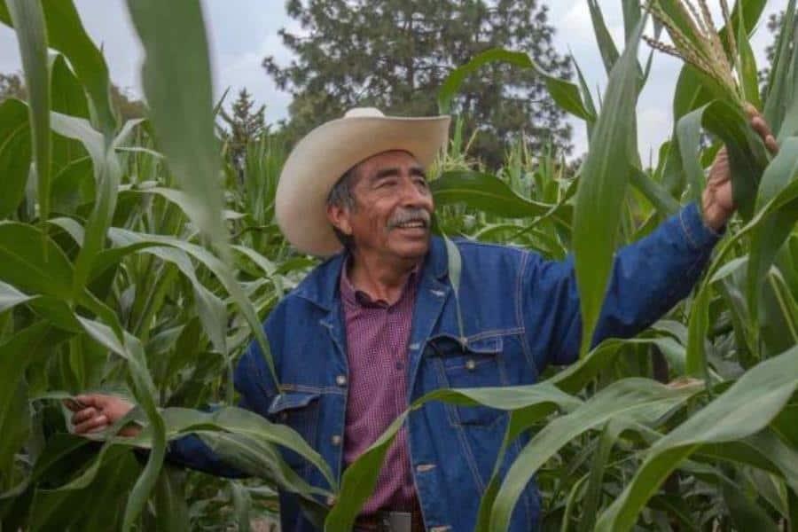 Adelanta Sedafop que se pondrá en marcha "Fincampo" con 700 mdp en apoyo a productores