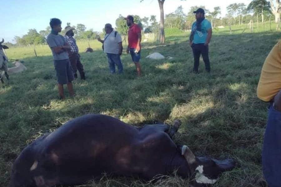 Fuga de gas en Comalcalco habría sido provocada por una "mano de chango": Pemex