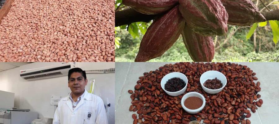 Investigador de la UJAT realiza estudio internacional sobre el proceso de fermentación del cacao nativo