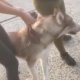 A golpes pelean pasaje en Aeropuerto Internacional de Cancún