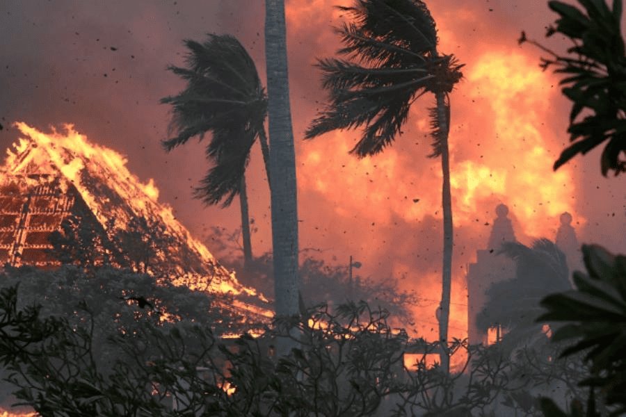 "Era una pesadilla": mexicana que vivió incendio en Hawái