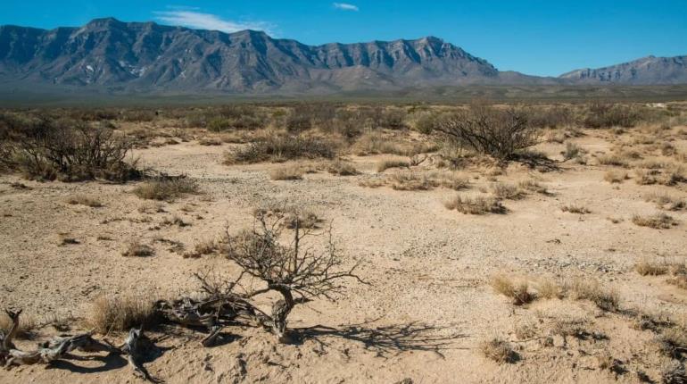 Hallan cuerpos de 2 migrantes mexicanos en desierto de Coahuila