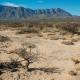 Hallan cuerpos de 2 migrantes mexicanos en desierto de Coahuila