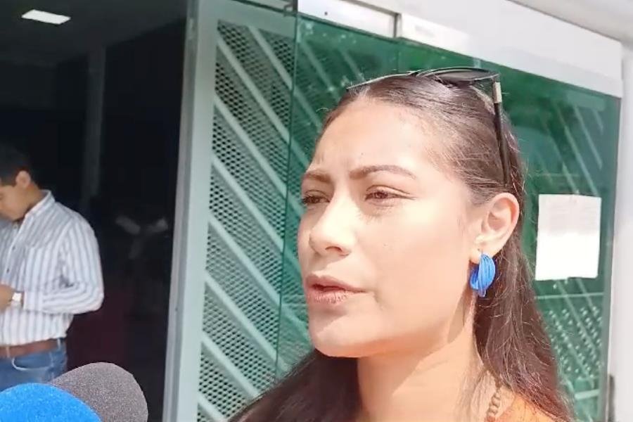 "Analizarán" en Congreso de Tabasco eliminación de edad para renta de vientres