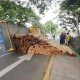 Hallan restos de abuelo bajo puente de Tierra Colorada