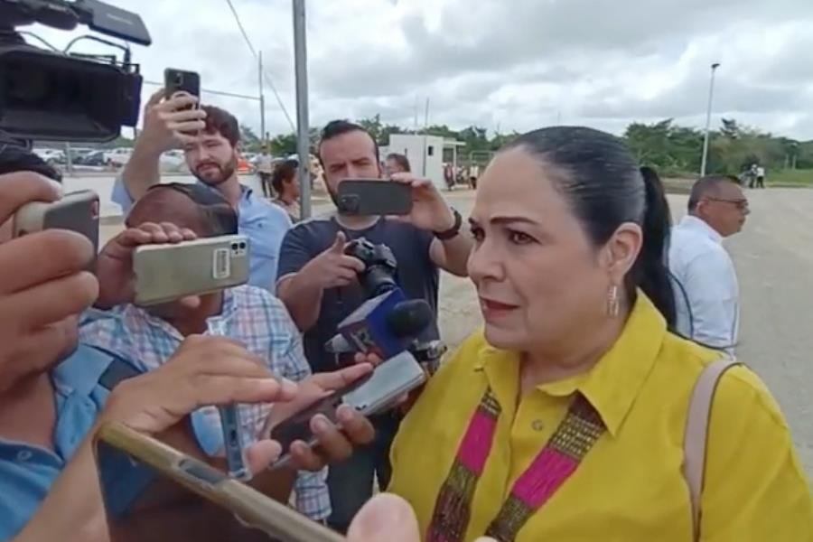 Senado exhortará a Tabasco y 5 estados más para cumplir con homologación de leyes: Mónica Fernández