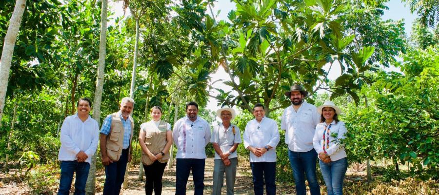 Se está reforestando con Sembrando Vida, responde Fonatur a Xóchilt sobre tala de árboles por Tren Maya