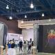 ´Insectus´ en el Convenciones, colección estará hasta el 24 de septiembre