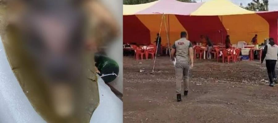 Denuncian venta de barbacoa de perro en Tizayuca, Hidalgo