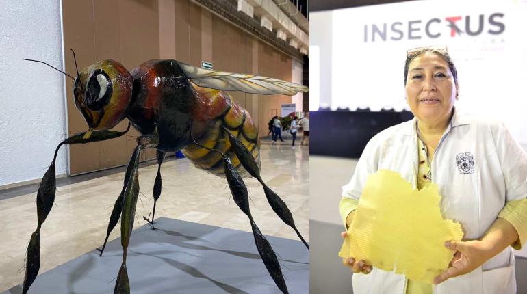 Destaca investigadora de la UJAT importancia de las abejas para la sostenibilidad ambiental y alimentaria