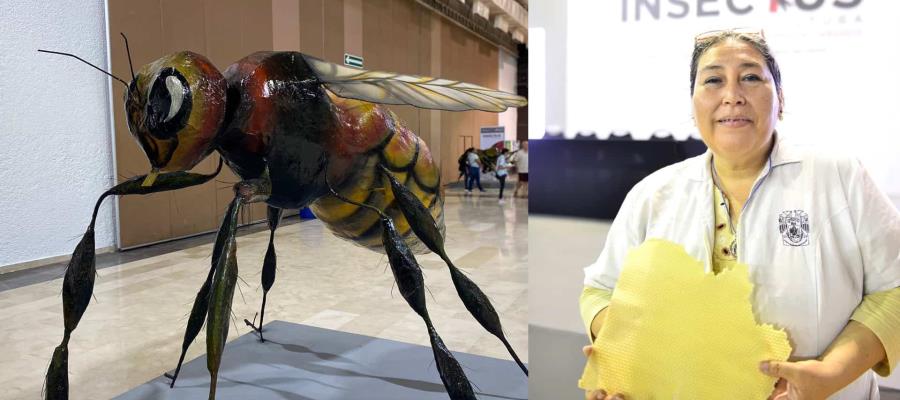 Destaca investigadora de la UJAT importancia de las abejas para la sostenibilidad ambiental y alimentaria