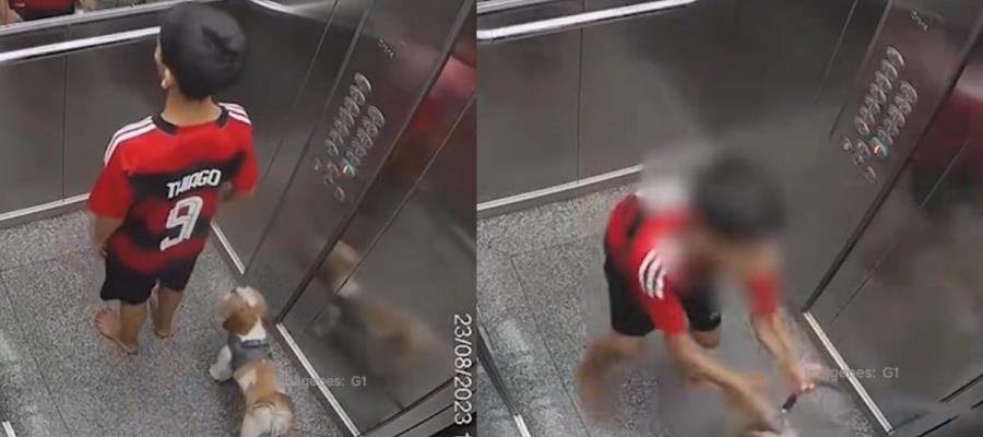 Niño de 11 años se convierte en héroe al salvar a su perro atrapado en un elevador en Brasil