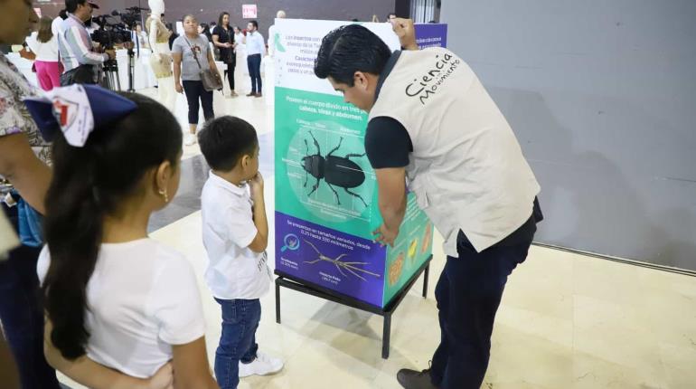 Descubren niños curiosidades microscópicas dentro de la exposición ´Insectus´