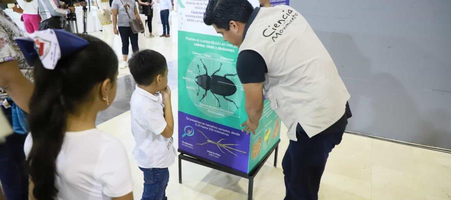 Descubren niños curiosidades microscópicas dentro de la exposición ´Insectus´