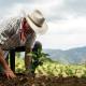 Presume Obrador desarrollo en el Sureste y disminución de pobreza en Tabasco