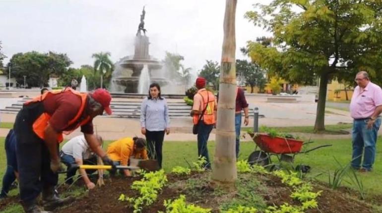 Ayuntamiento de Centro lanza reto ciudadano "Mis plantas, mis herramientas"