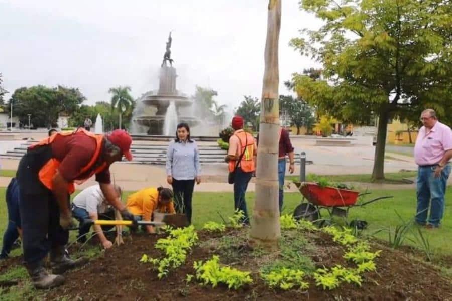 Ayuntamiento de Centro lanza reto ciudadano "Mis plantas, mis herramientas"